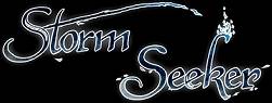 logo Storm Seeker